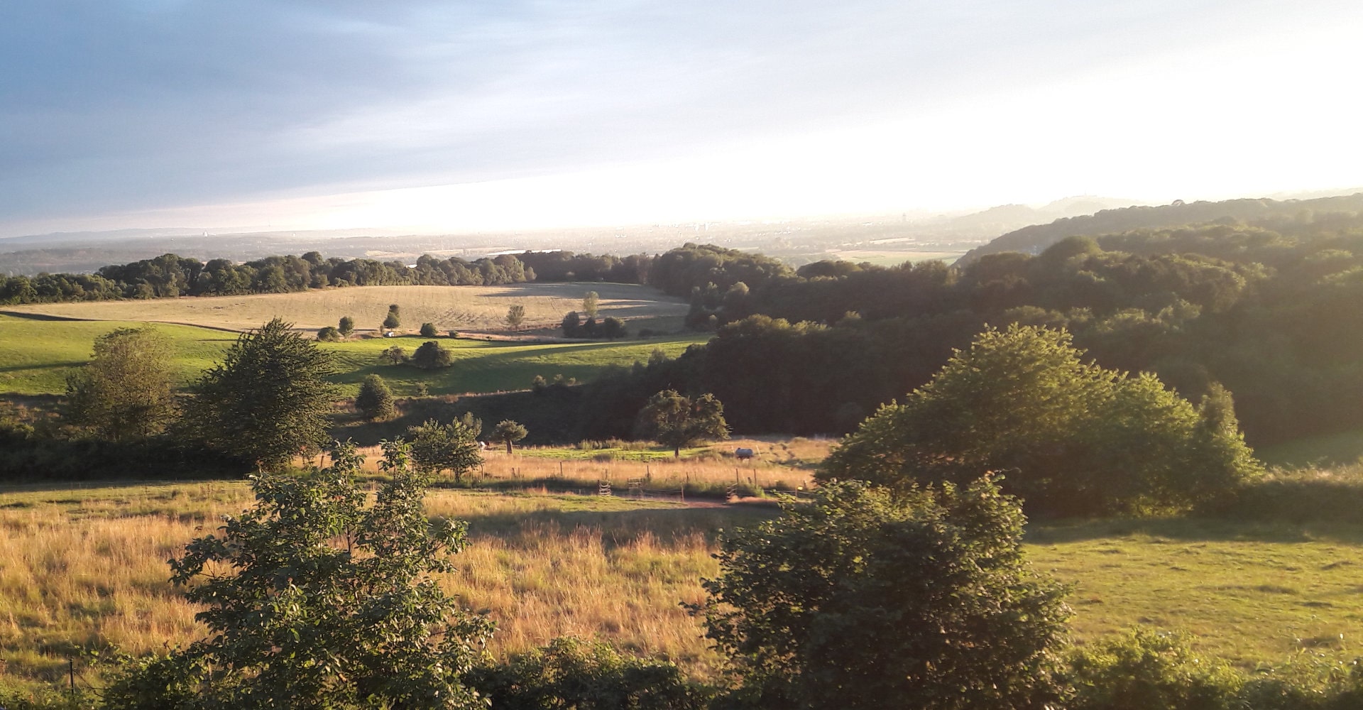 Weitblick im Sommer 1